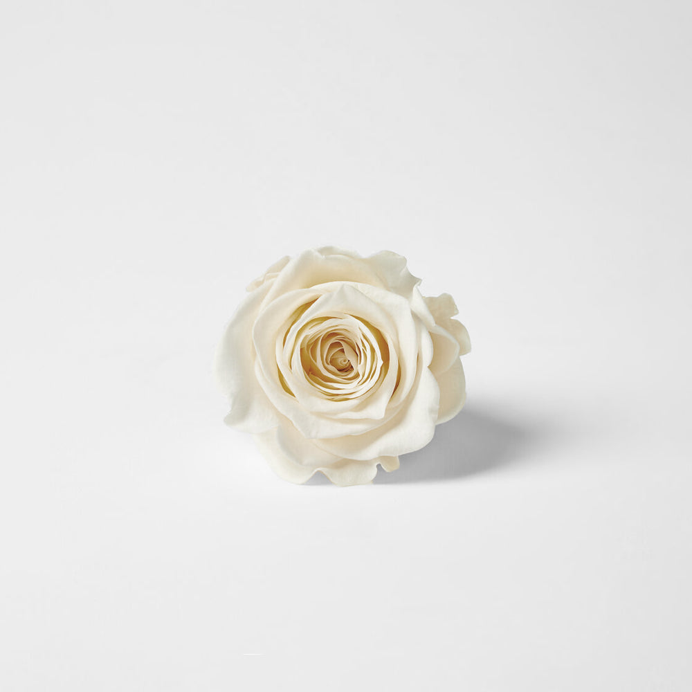cream