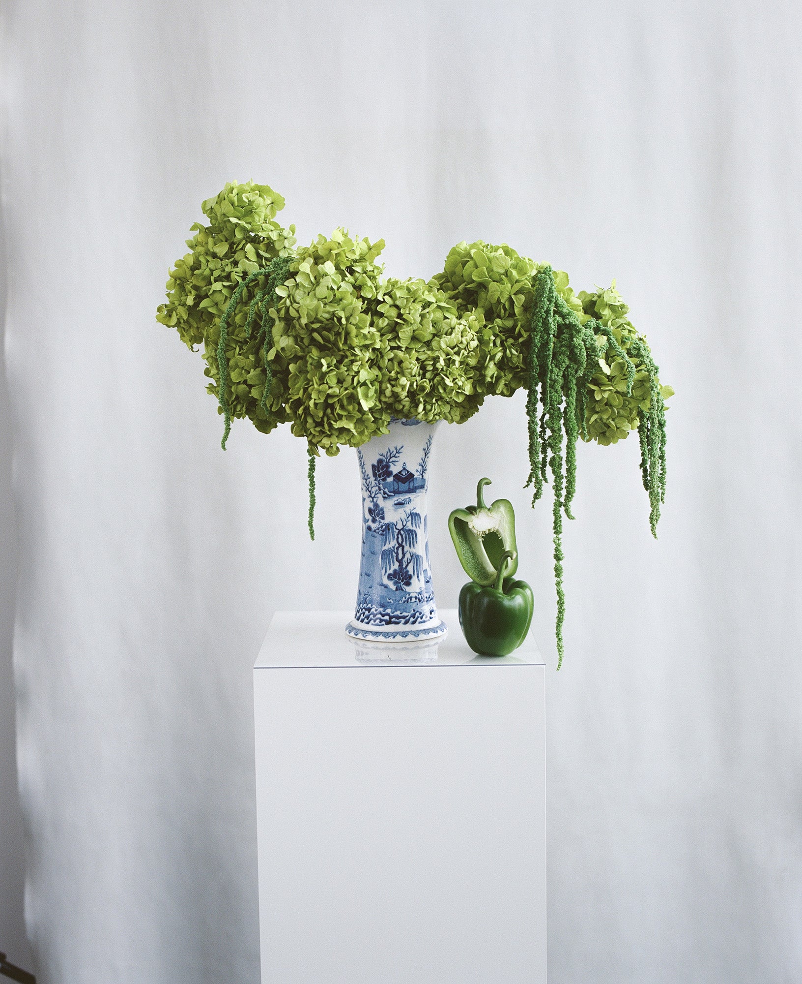 Decorative preserved arrangement with green preserved hydrangeas and amaranth on a white surface against a white background.