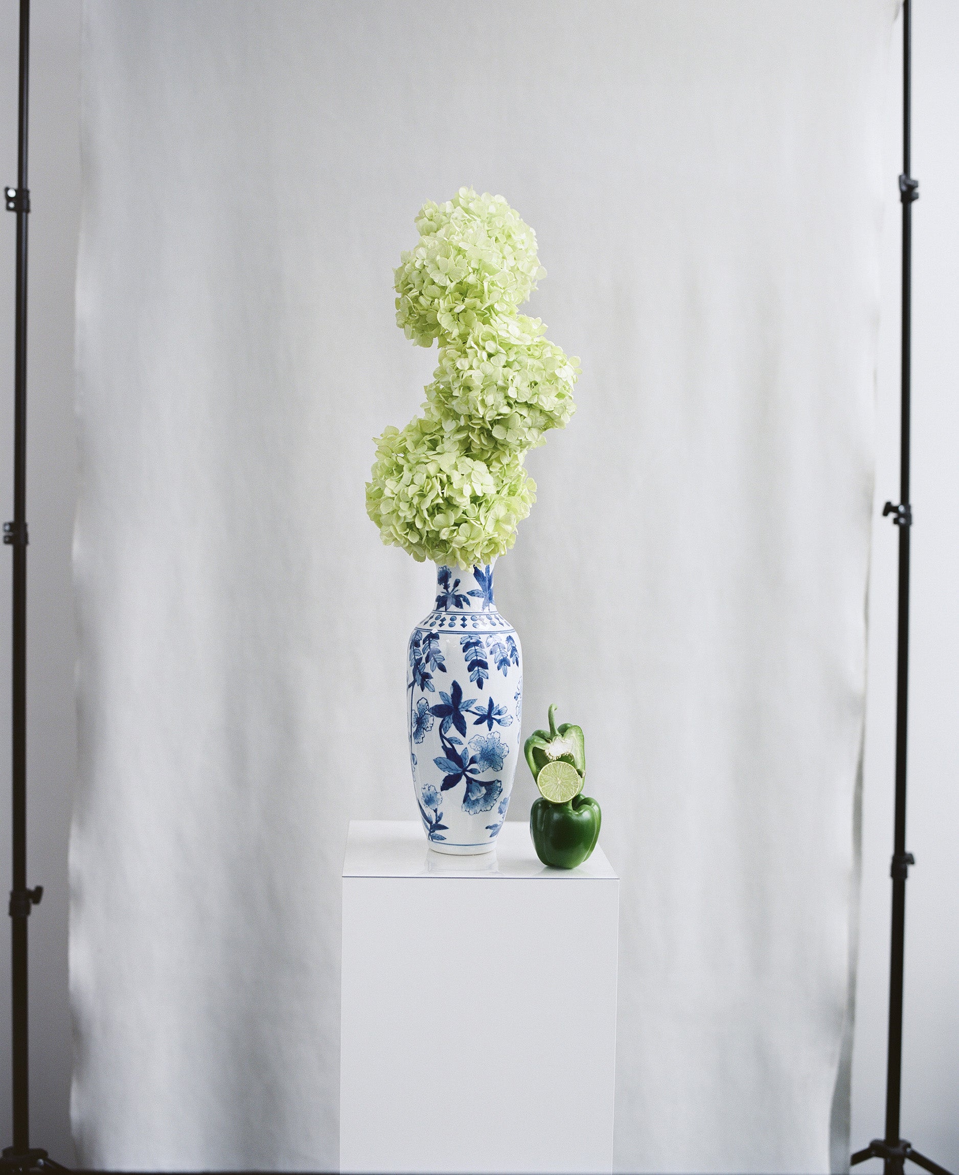 Vase with green preserved hydrangea on a white surface against a white background
