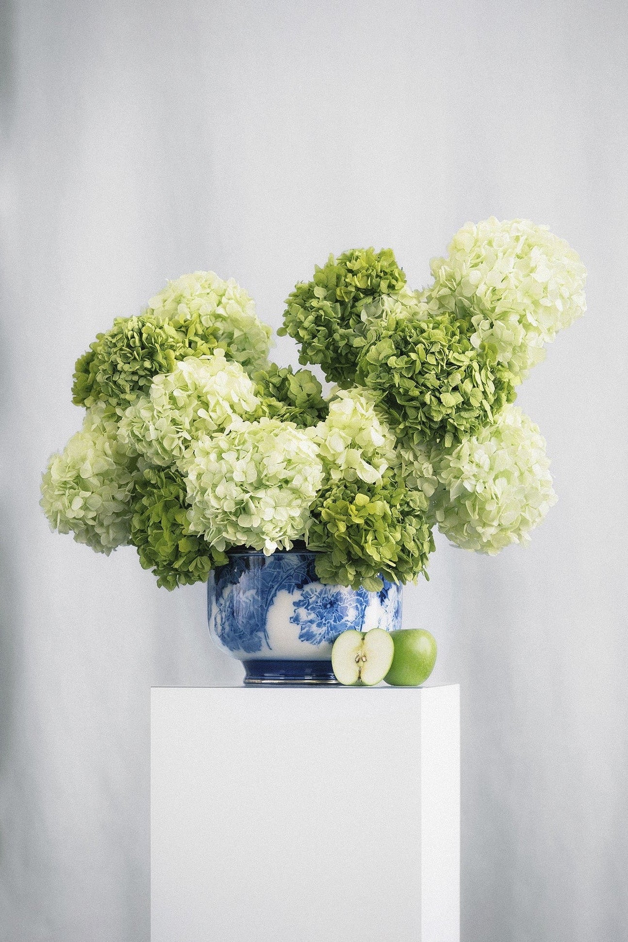 Preserved green hydrangea arrangement in a blue and white vase on a white pedestal against a grey background.