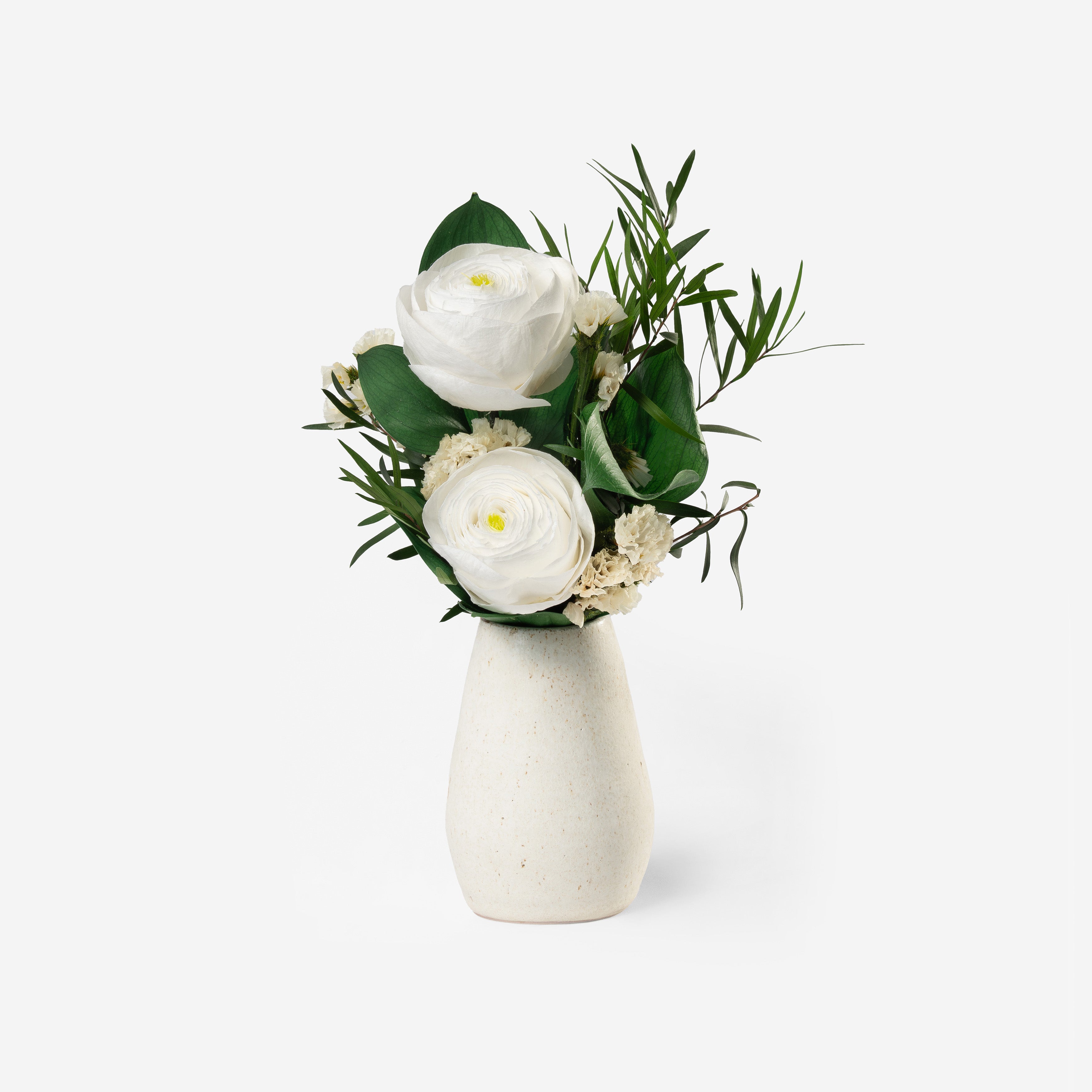 Preserved White Ranunculus LIA - MINI PRESERVED WHITE RANUNCULUS HAND TIED BOUQUET – Ethereal Blooms