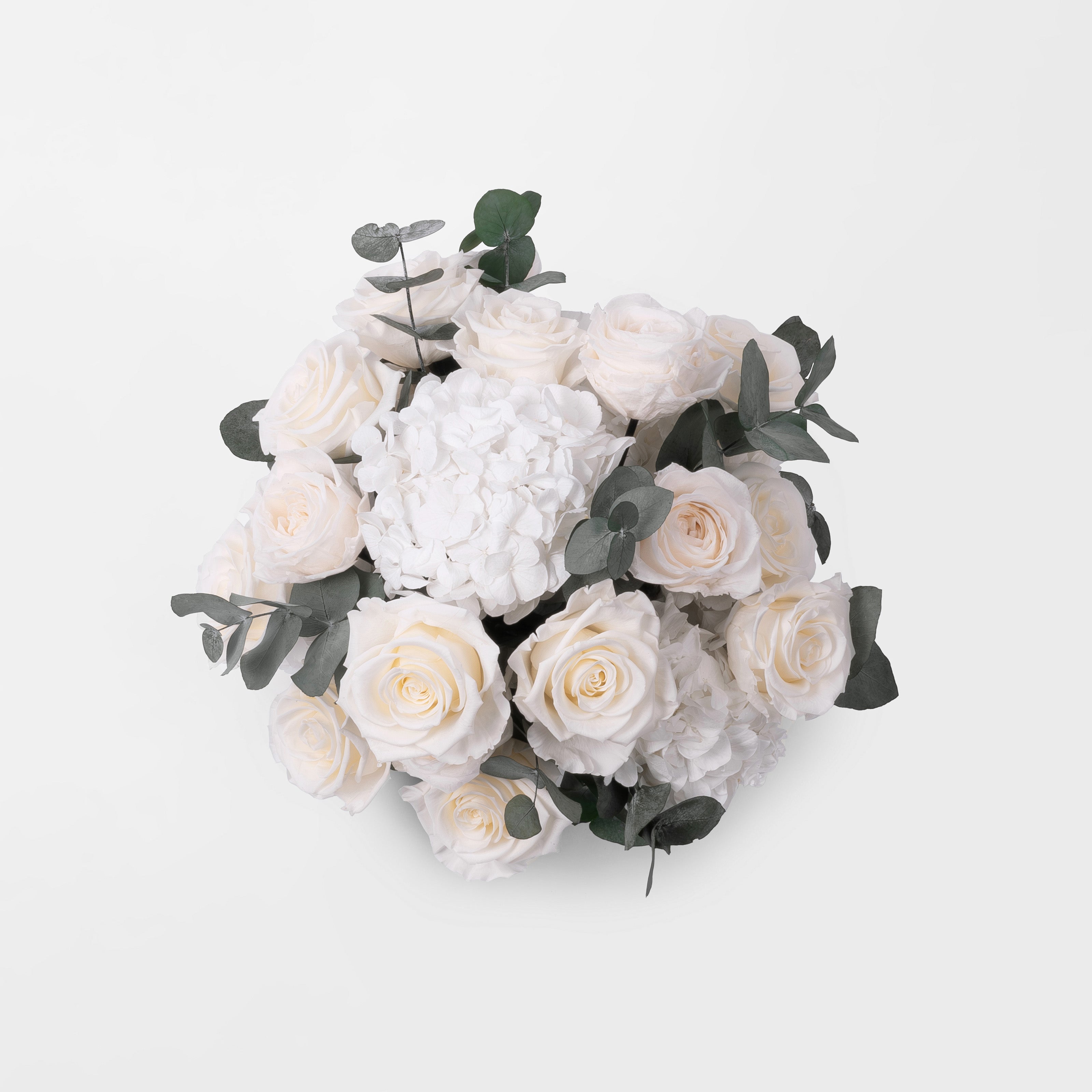 PRESERVED WHITE ROSE AND HYDRANGEA ARRANGEMENT IN WHITE CUBE VASE
