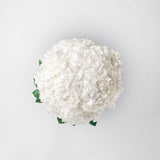 EVANGELINE - WHITE PRESERVED HYDRANGEA WEDDING BOUQUET