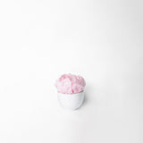 PIA - PRESERVED PINK PEONY IN WHITE CERAMIC VASE