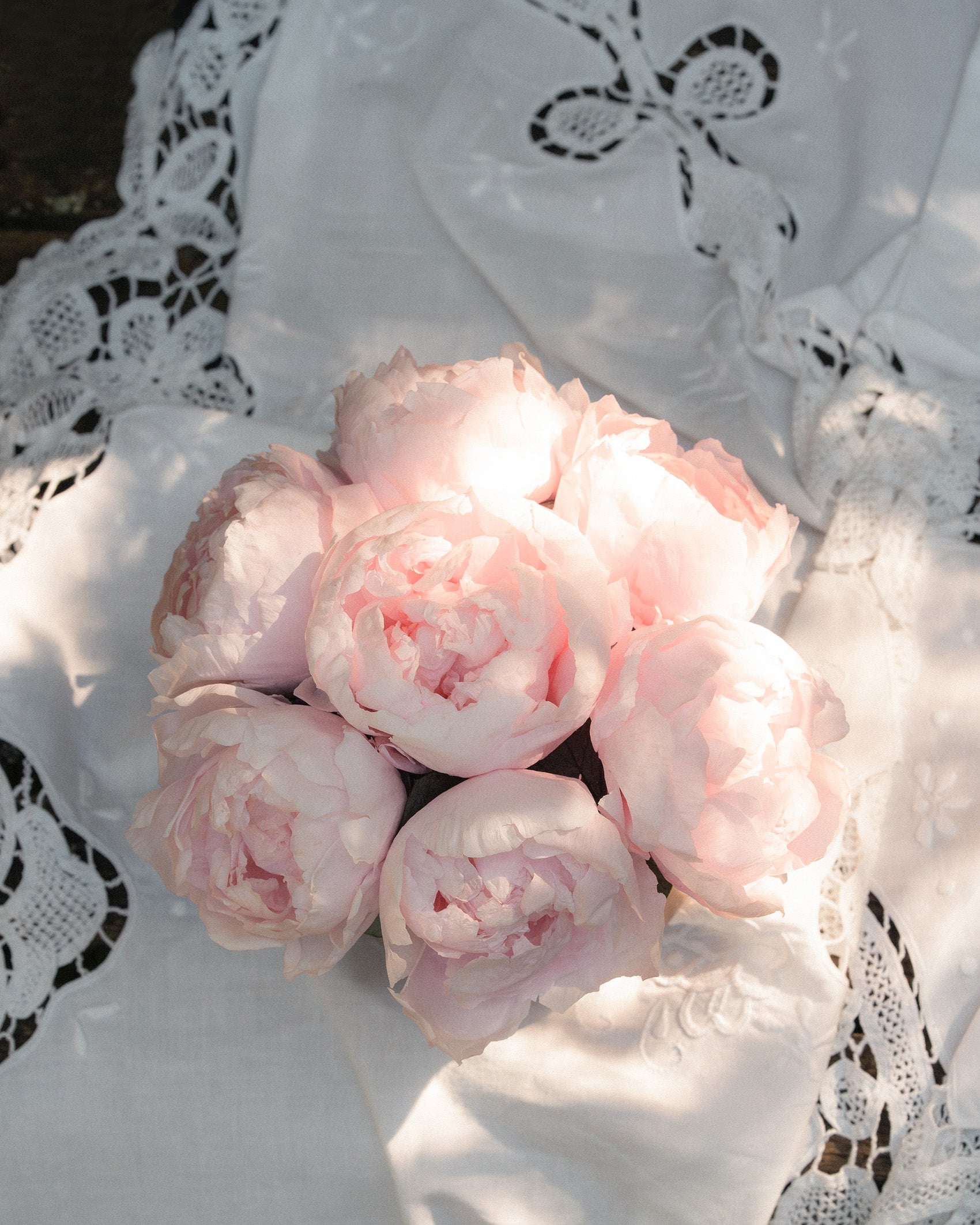 Preserved pink peony dome on a picnic set up