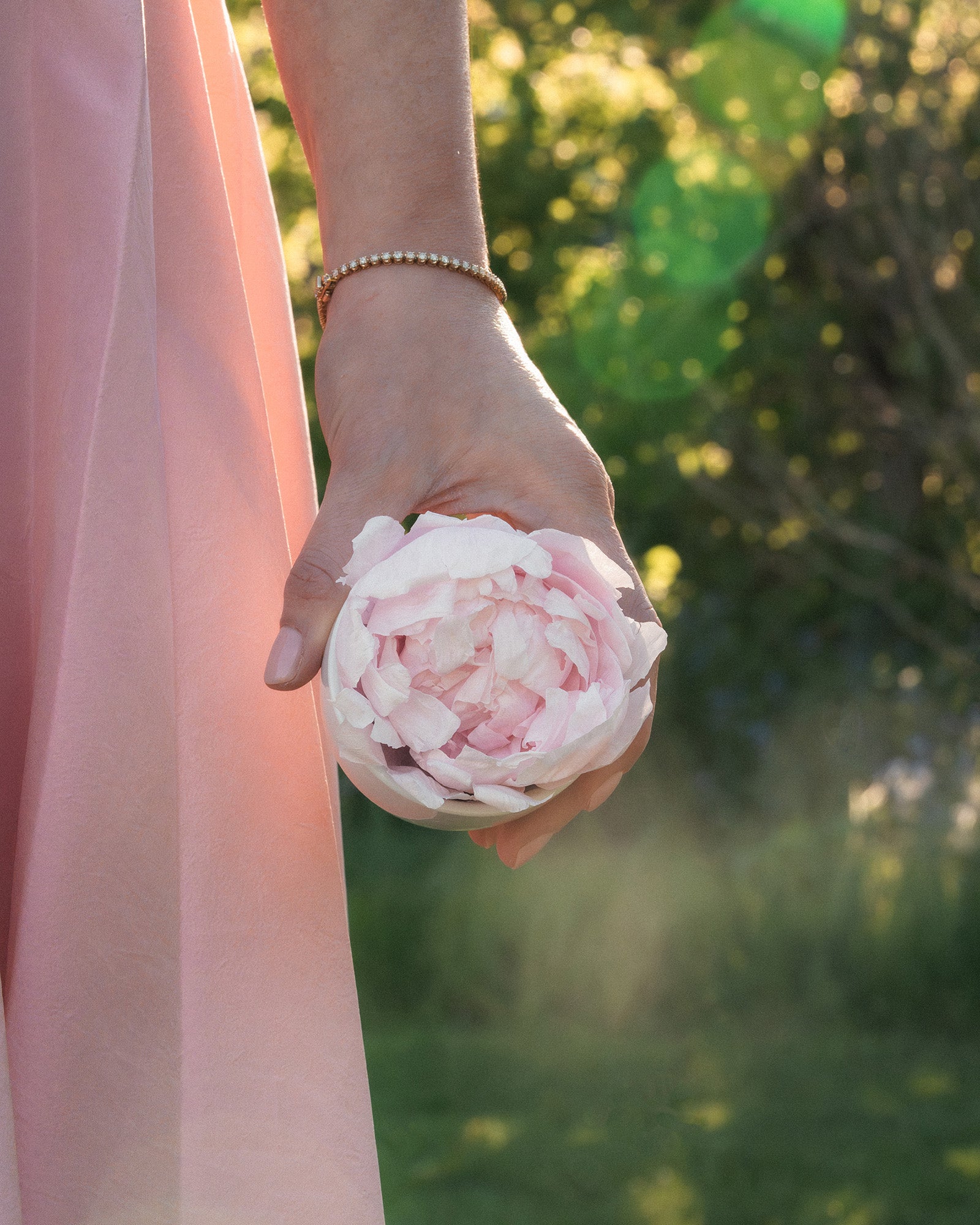Preserved Pink Peony