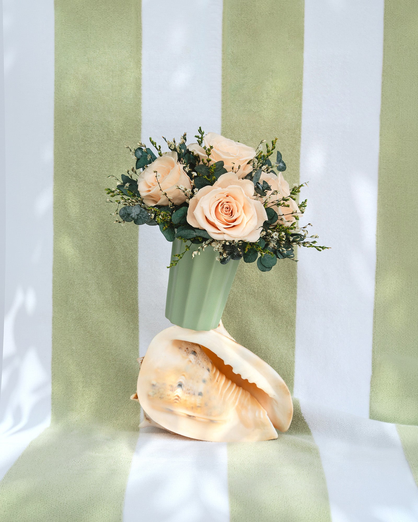 A preserved floral arrangement of peach roses and green foliage in a pale green vase, set on a large beige seashell against a white and sage green striped backdrop.