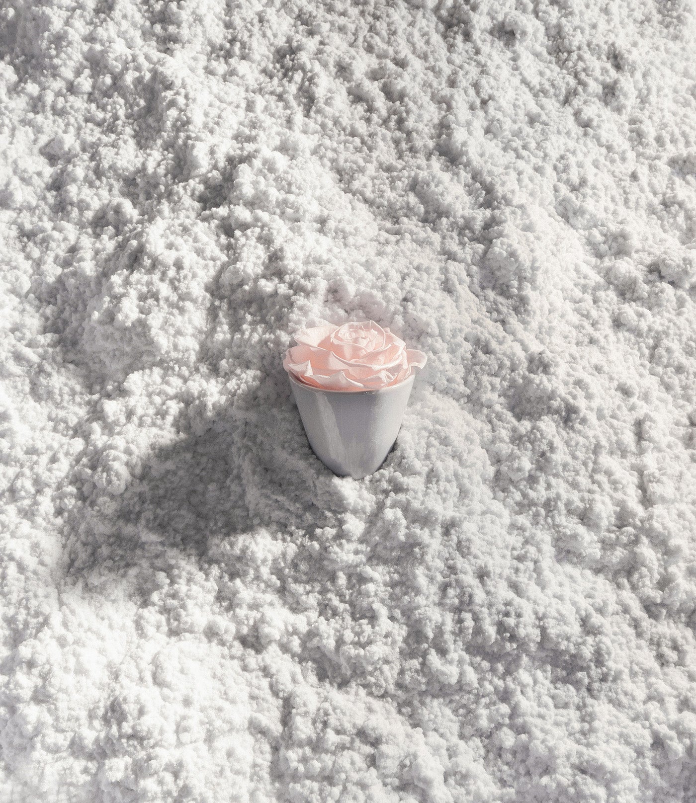 Kitty a small blush preserved flower in a ceramic vase buried under snow