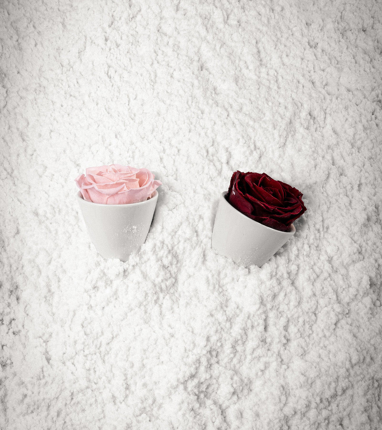 Two preserved roses, one pink and one red, in white vases in the snow.