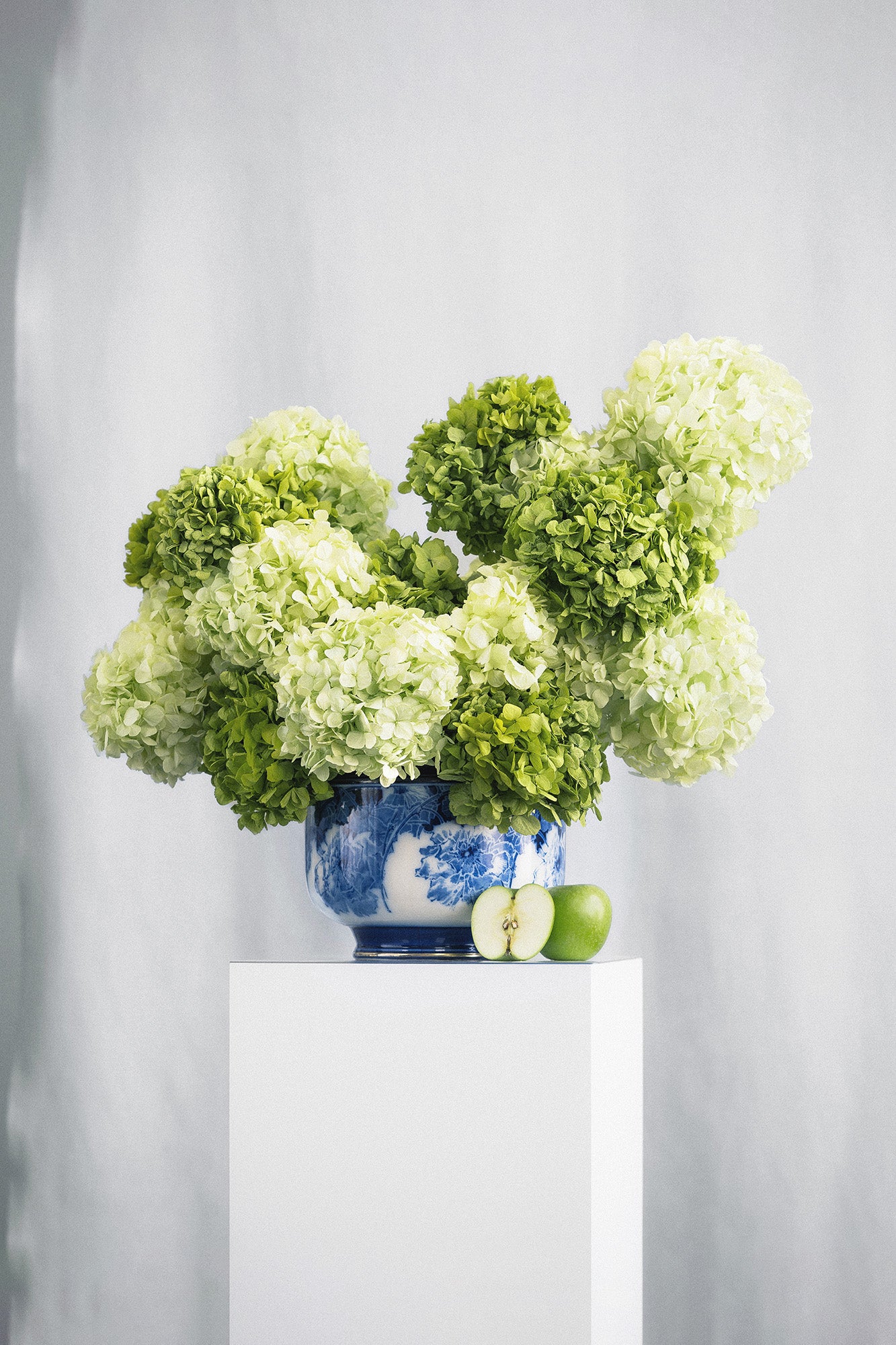 Preserved green hydrangea arrangement in a blue and white vase on a white pedestal against a grey background.