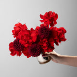 BRONTË - PRESERVED RED REFLEXED ROSE AND RED DAHLIA IN GOLD GLASS VASE