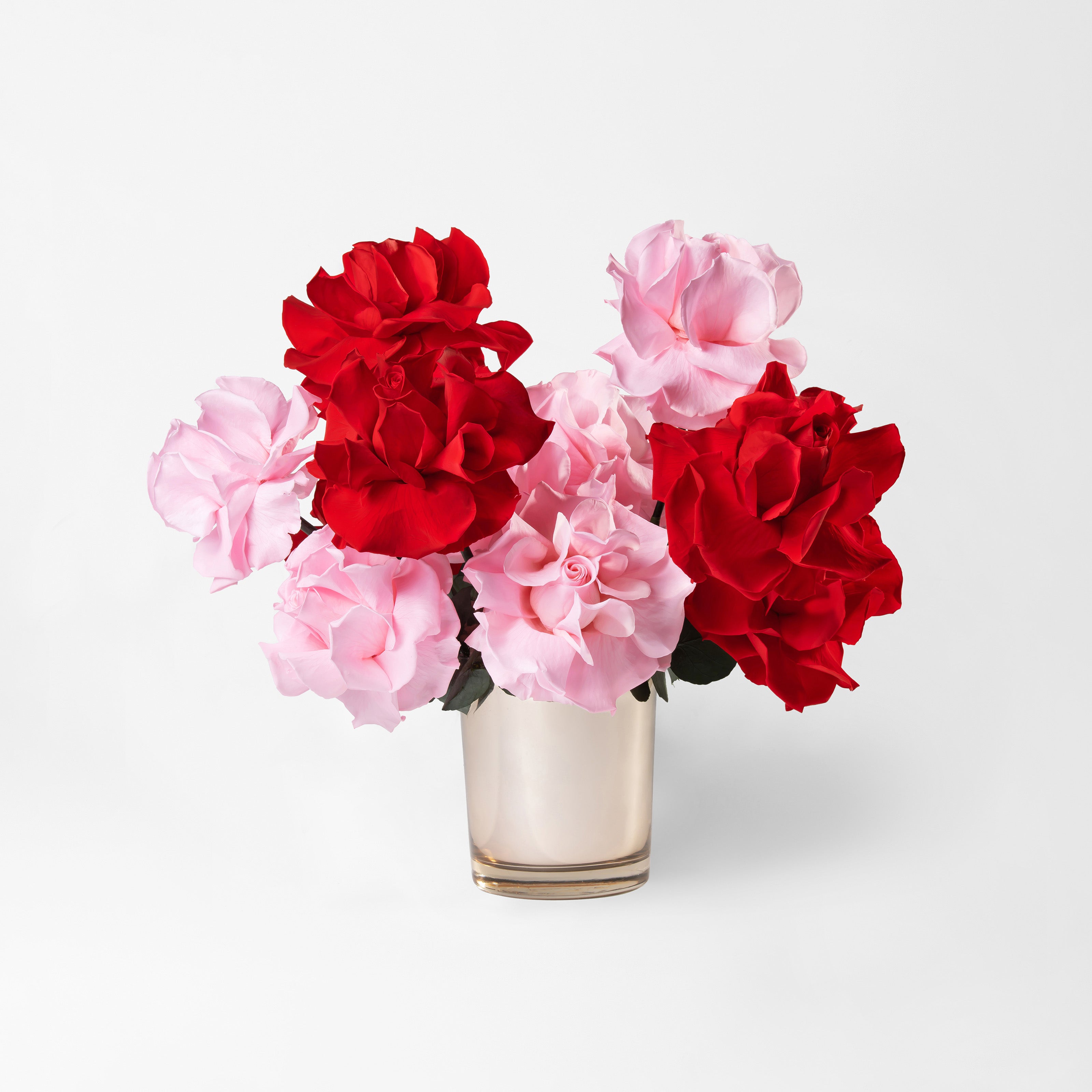 Preserved red and pink reflexed roses in a gold glass vase