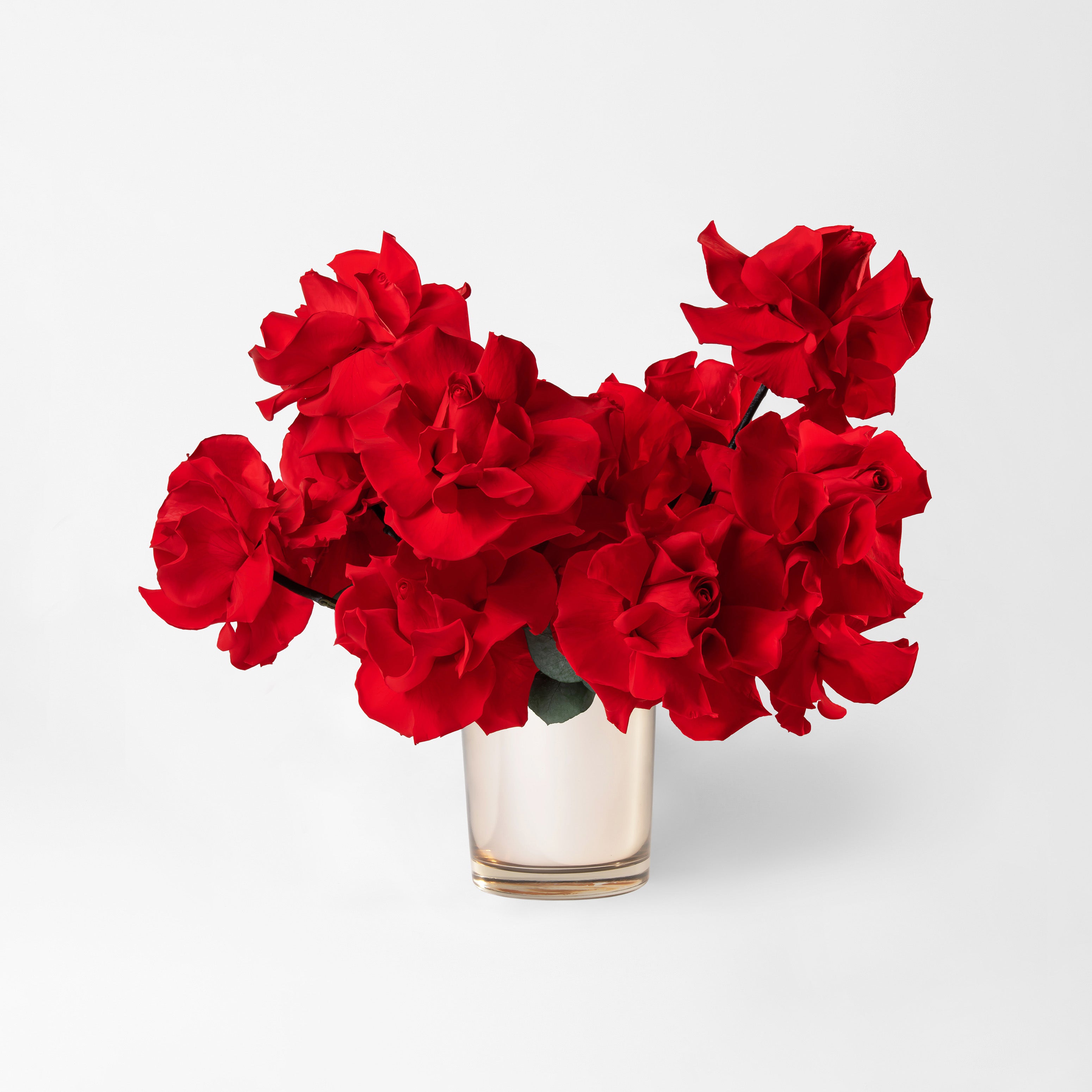 Preserved red reflexed roses in a gold glass vase