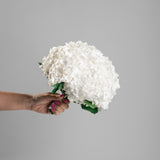 EVANGELINE - WHITE PRESERVED HYDRANGEA WEDDING BOUQUET