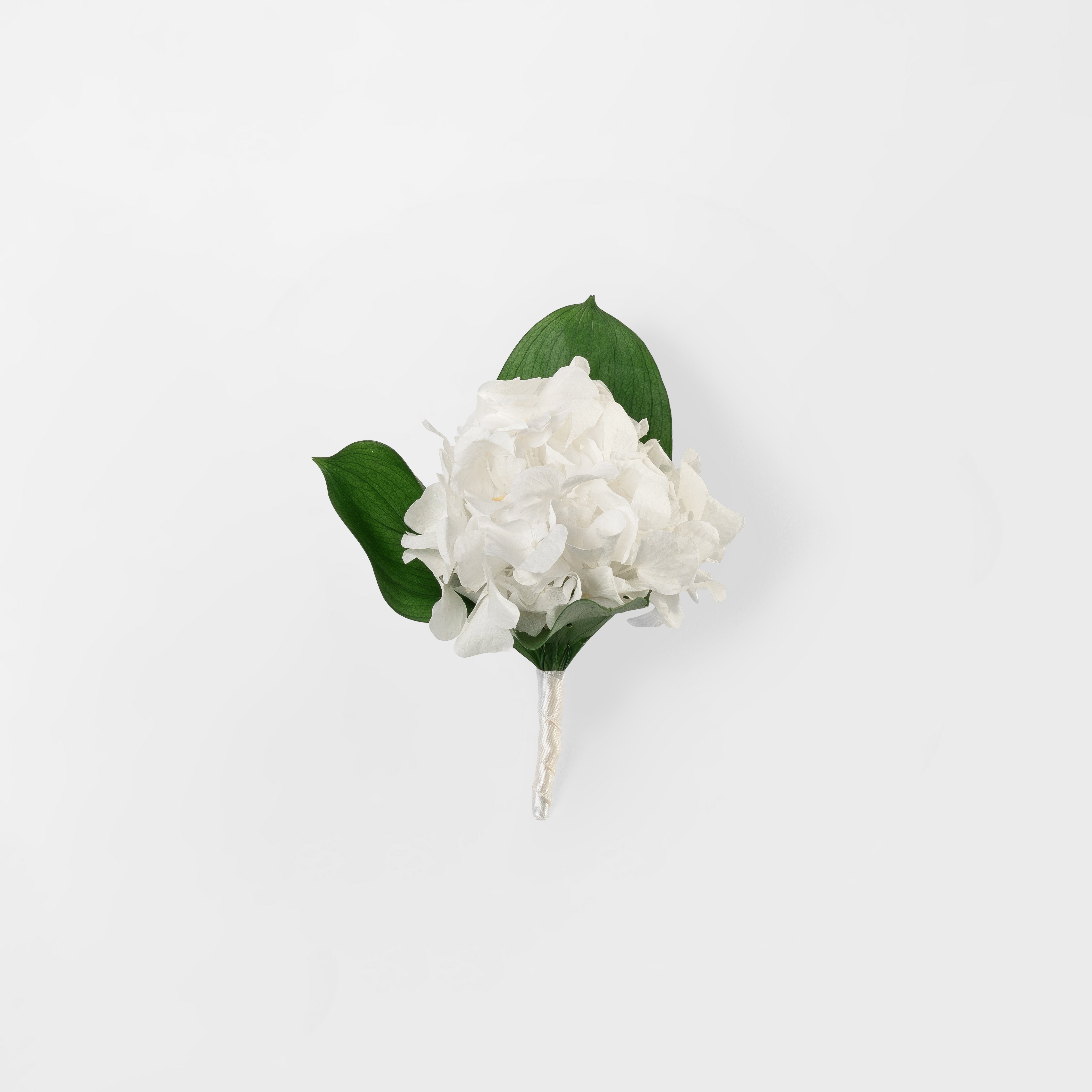 WHITE PRESERVED HYDRANGEA BUTTONHOLE