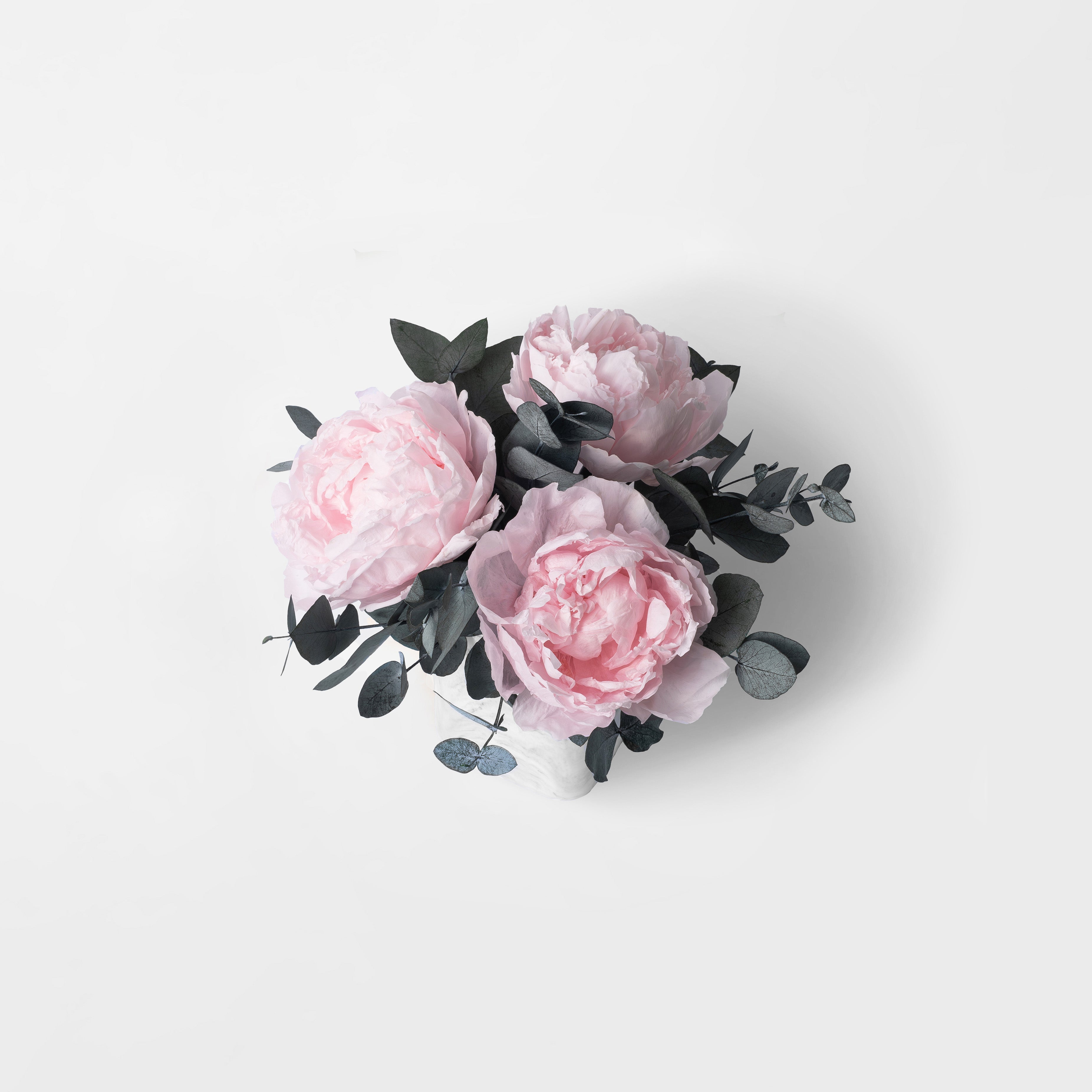 PRESERVED PINK PEONY ARRANGEMENT IN MARBLE VASE