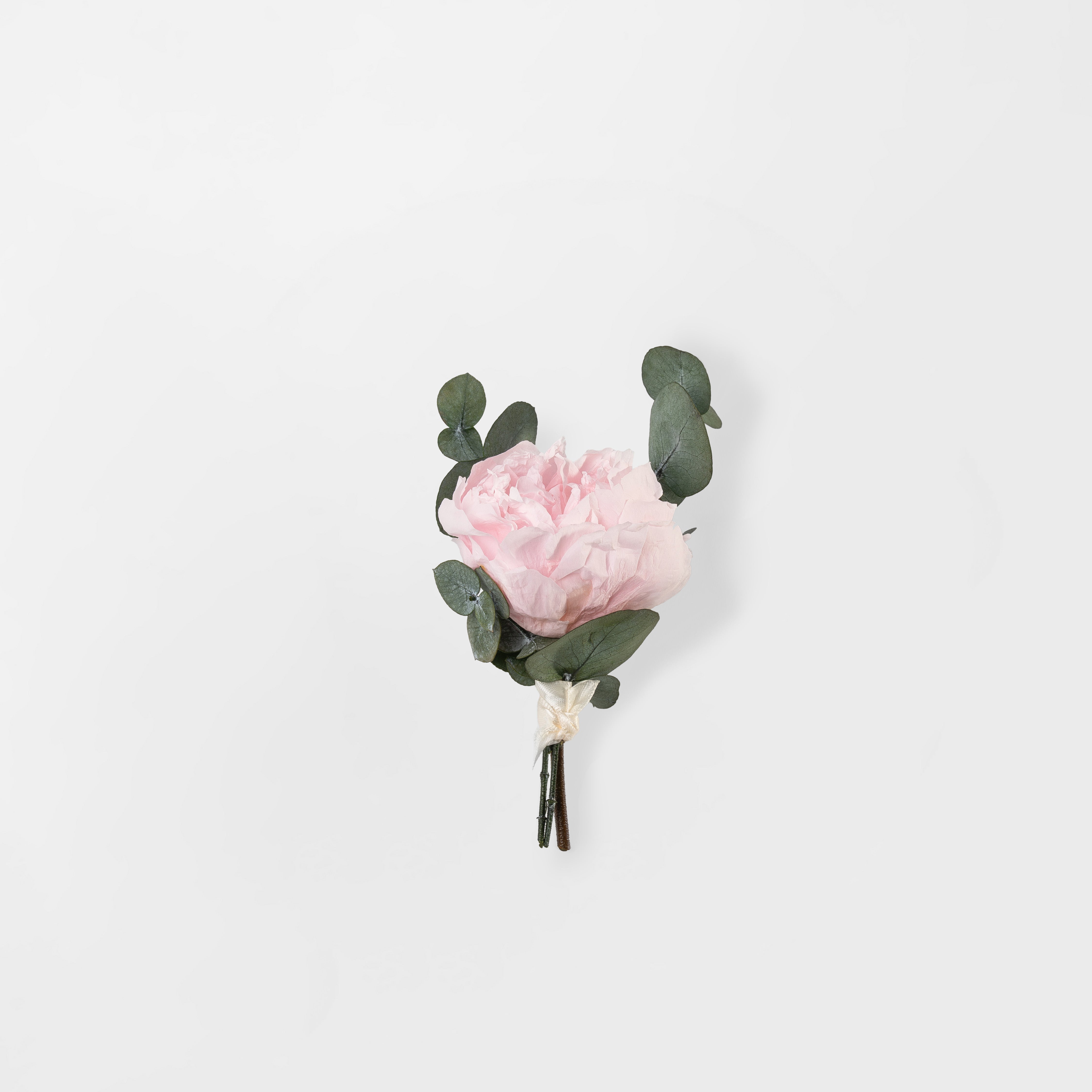 PINK PRESERVED PEONY BUTTONHOLE