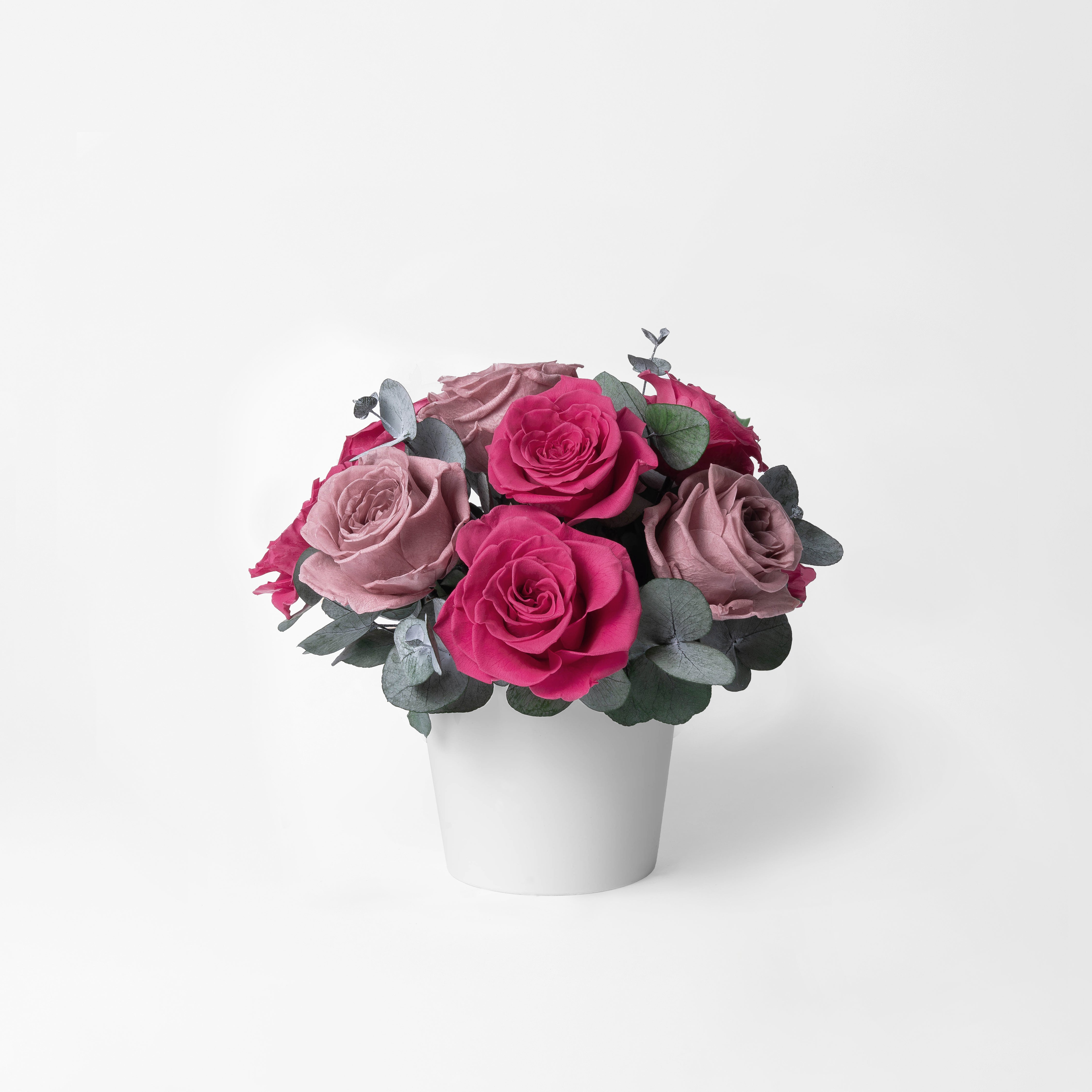 Preserved Rose