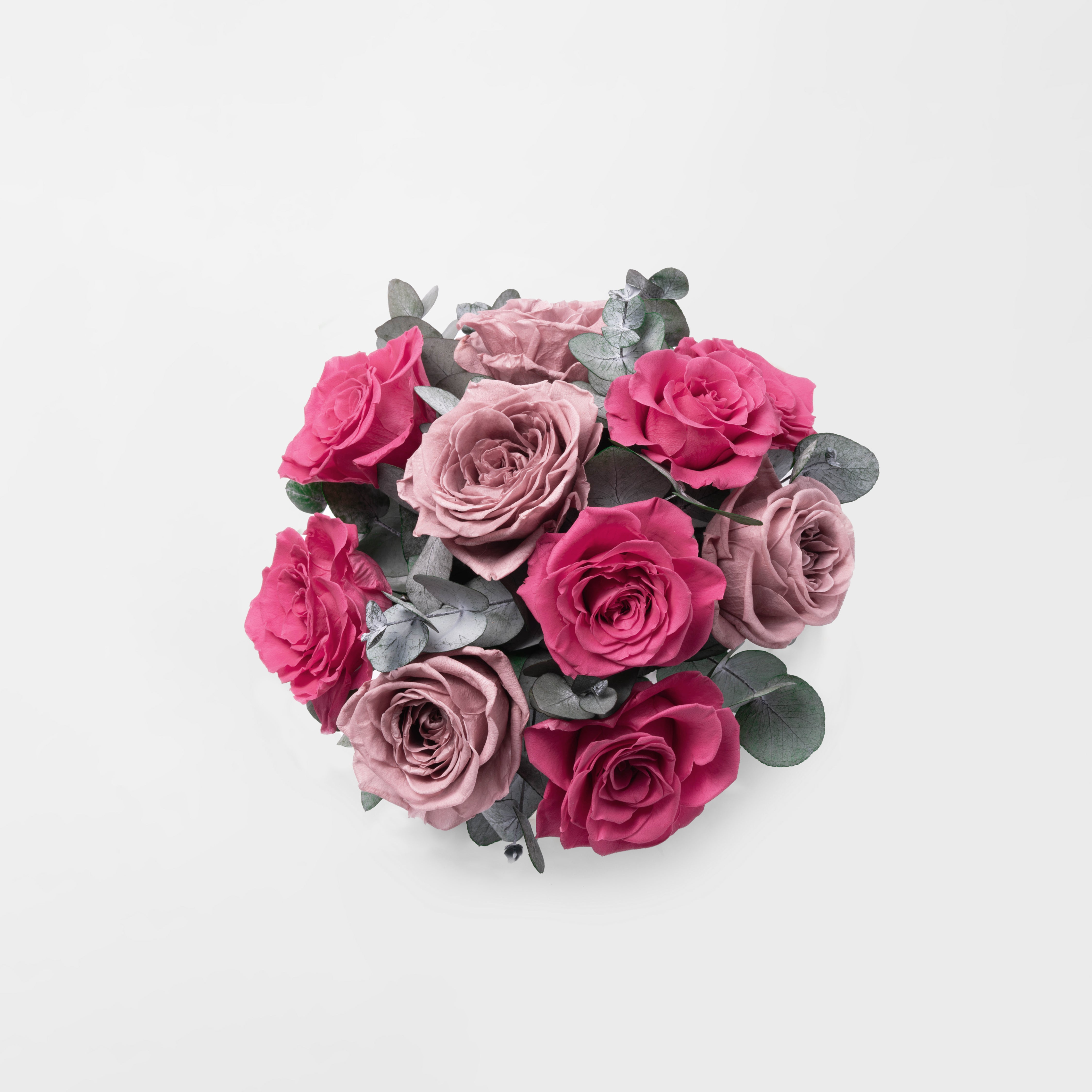 Preserved Rose