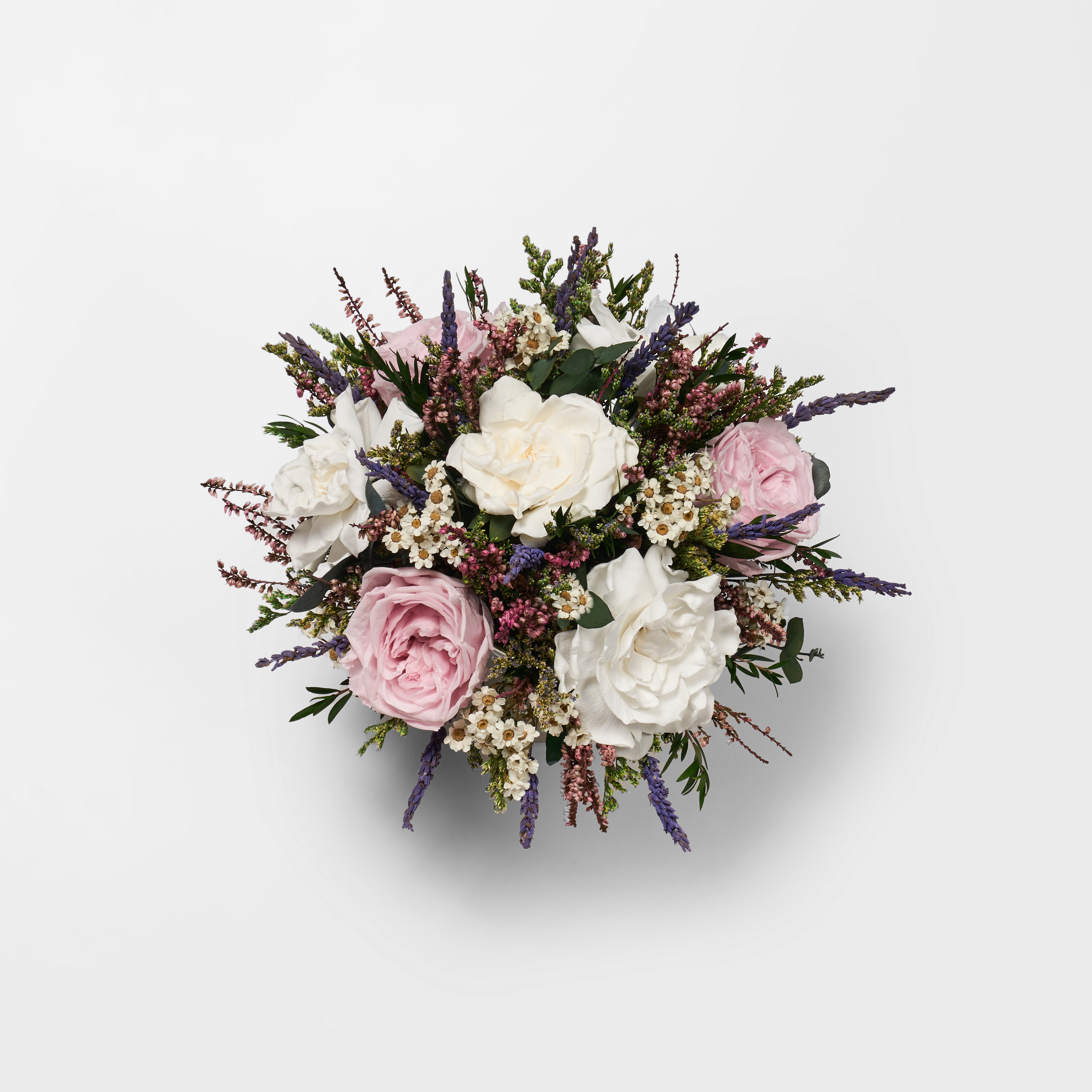 Preserved Rose