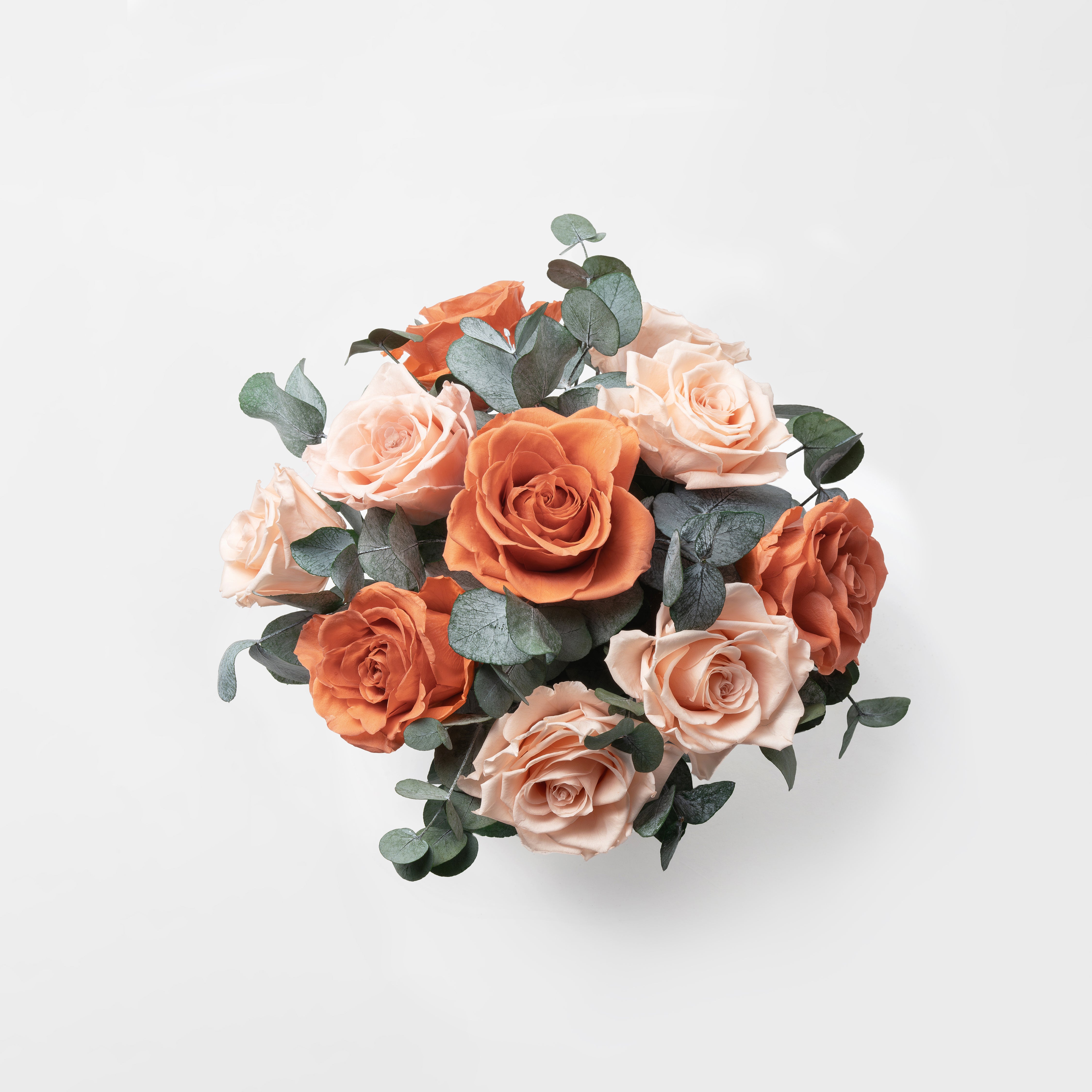 Preserved Rose