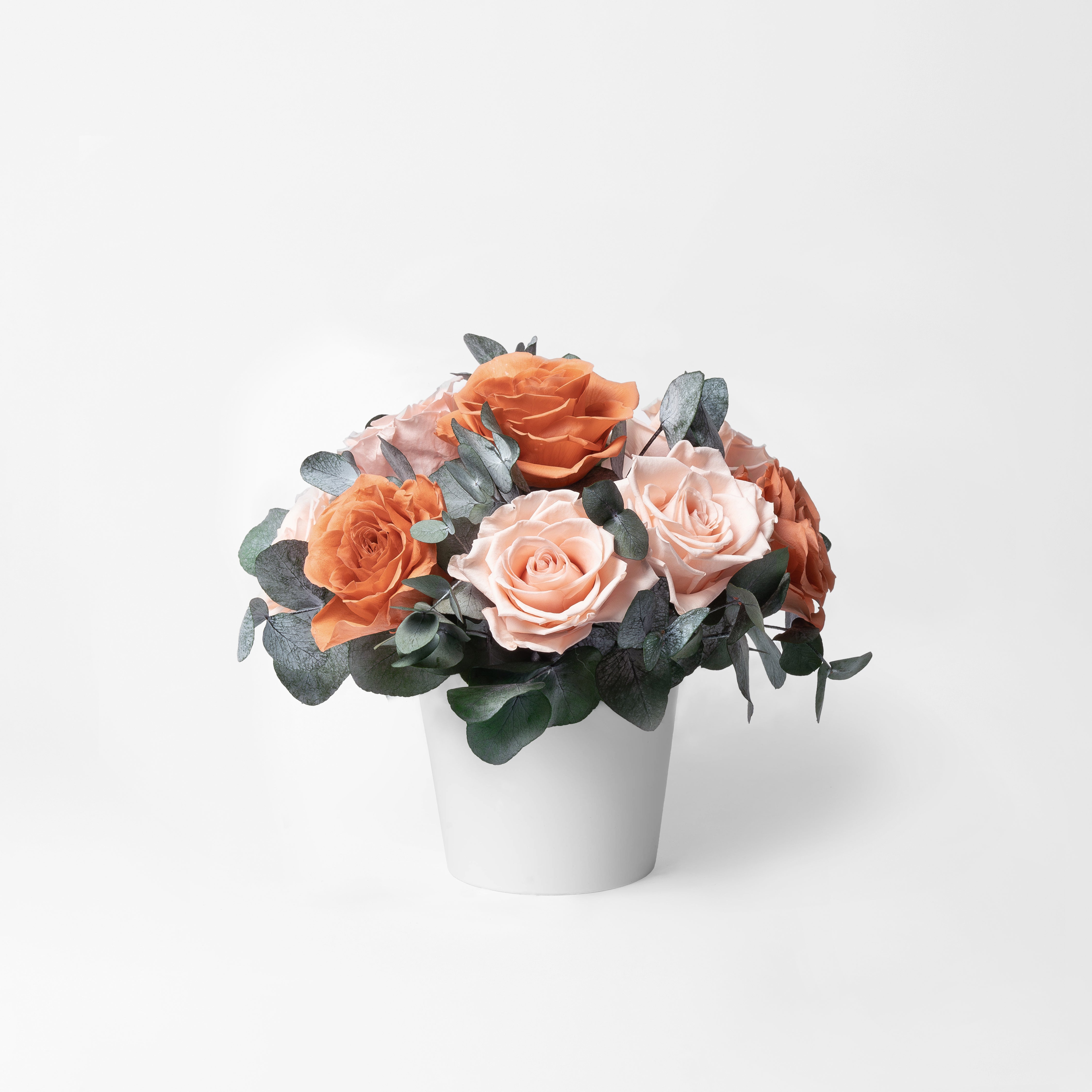 Preserved Rose