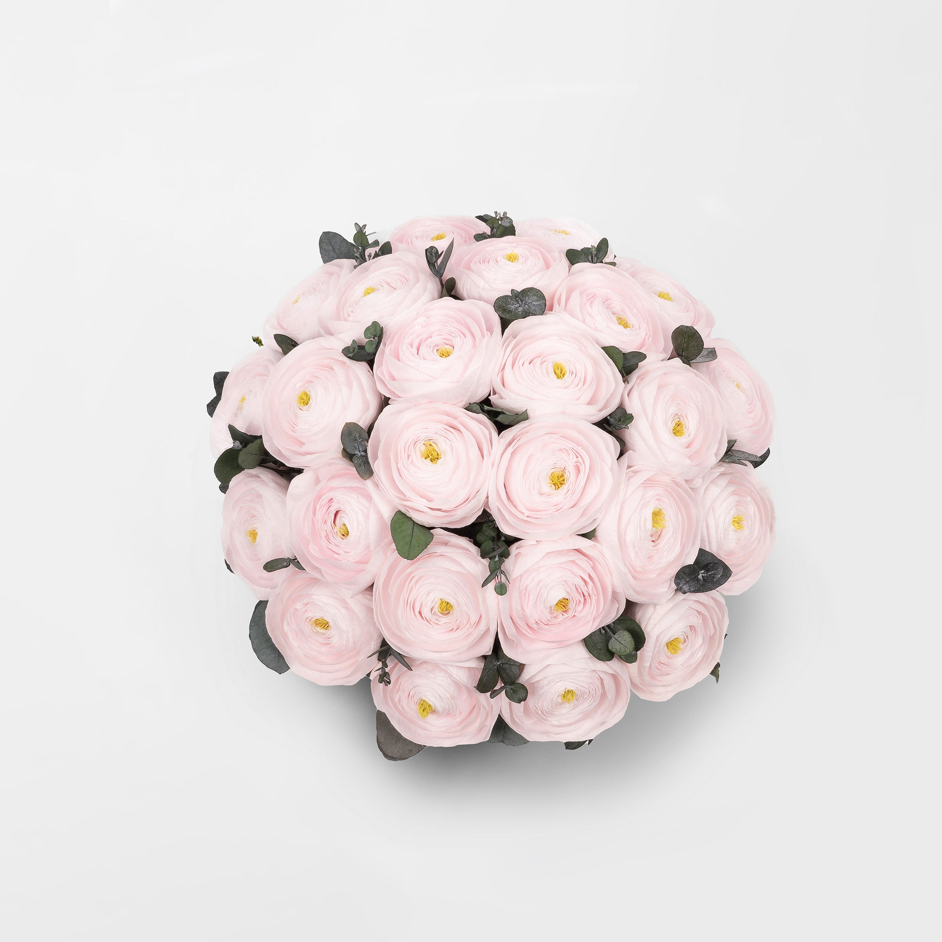 Preserved Ranunculus AUDREY - PRESERVED PINK RANUNCULUS ARRANGEMENT IN YOUR CHOICE OF VASE ...