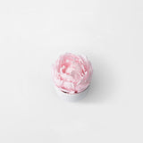 PIA - PRESERVED PINK PEONY IN WHITE CERAMIC VASE