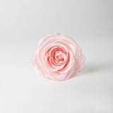 blush