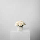 ISE - PRESERVED WHITE ROSE ARRANGEMENT IN WHITE CUBE VASE
