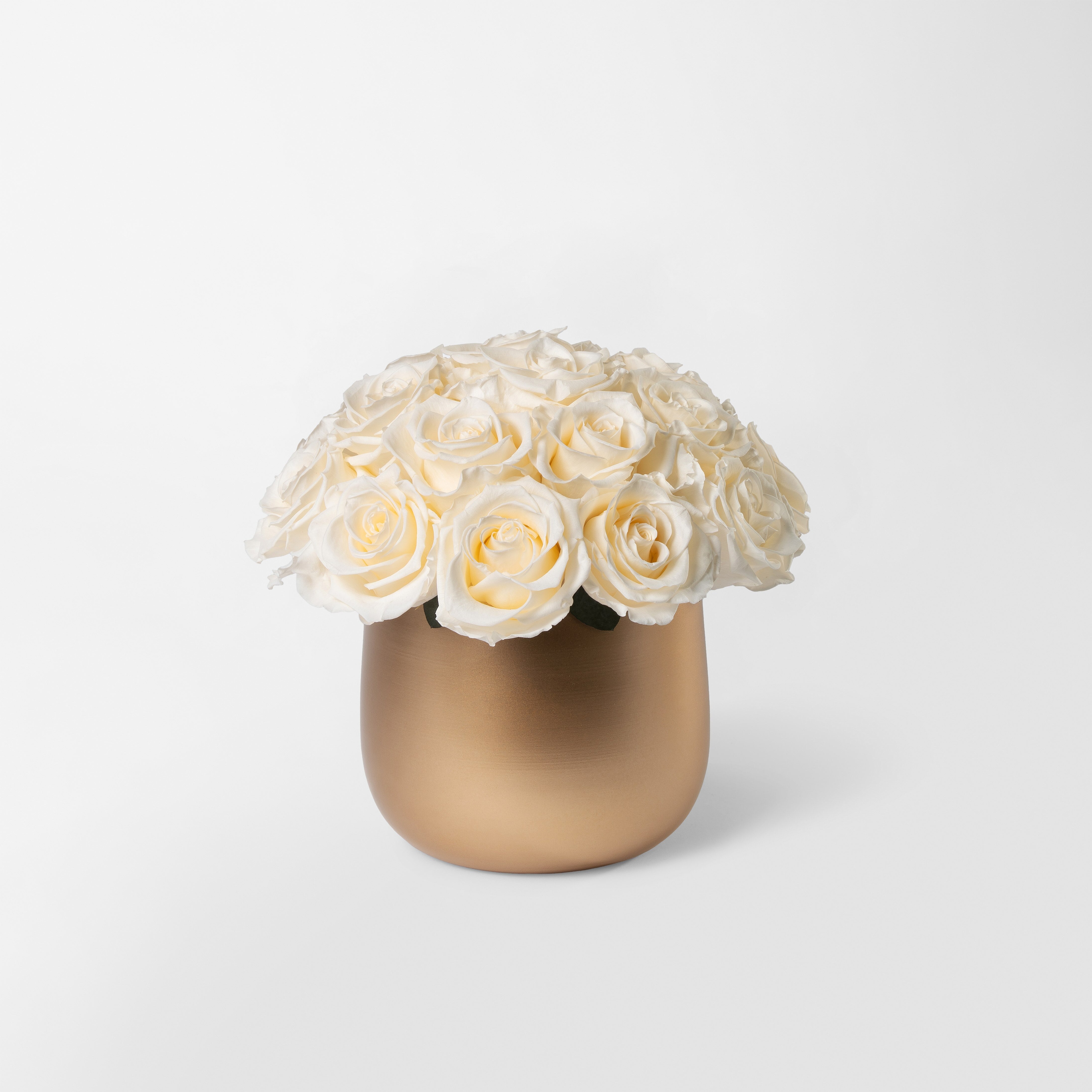 Gold vase with preserved white roses