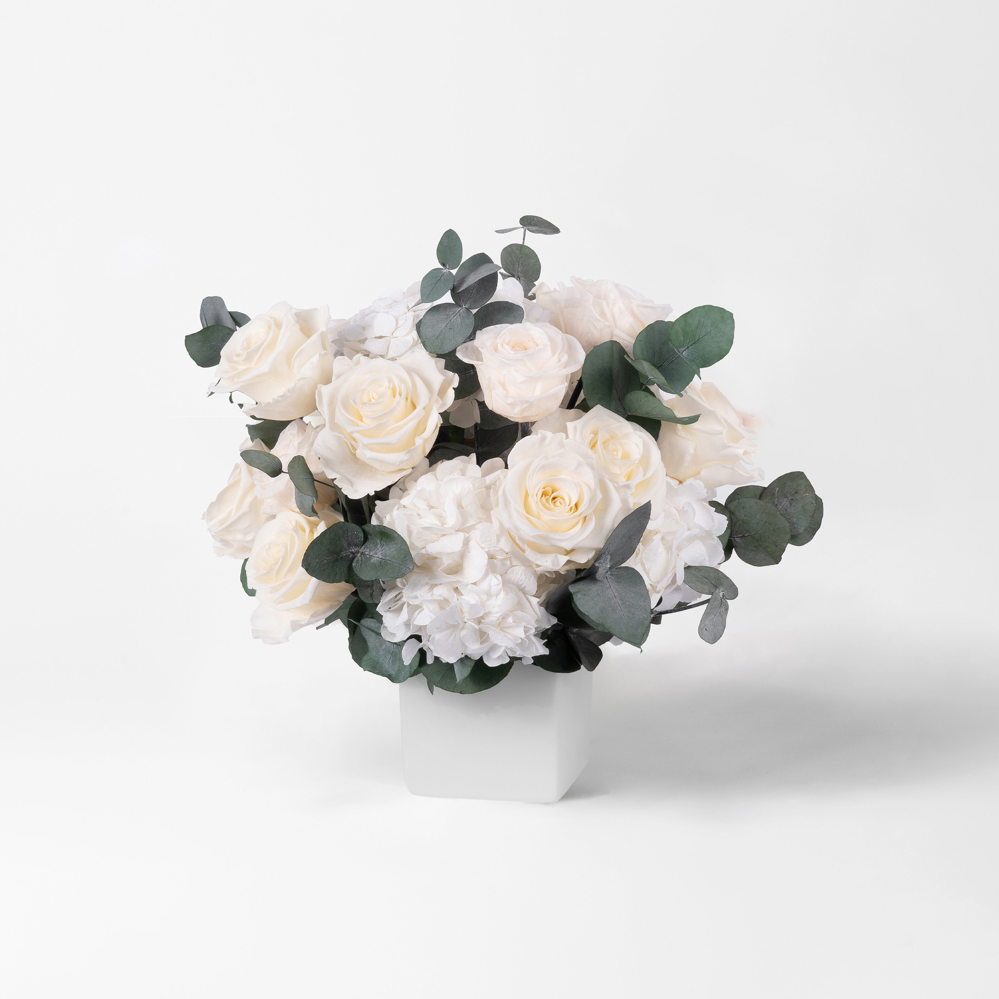 PRESERVED WHITE ROSE AND HYDRANGEA ARRANGEMENT IN WHITE CUBE VASE