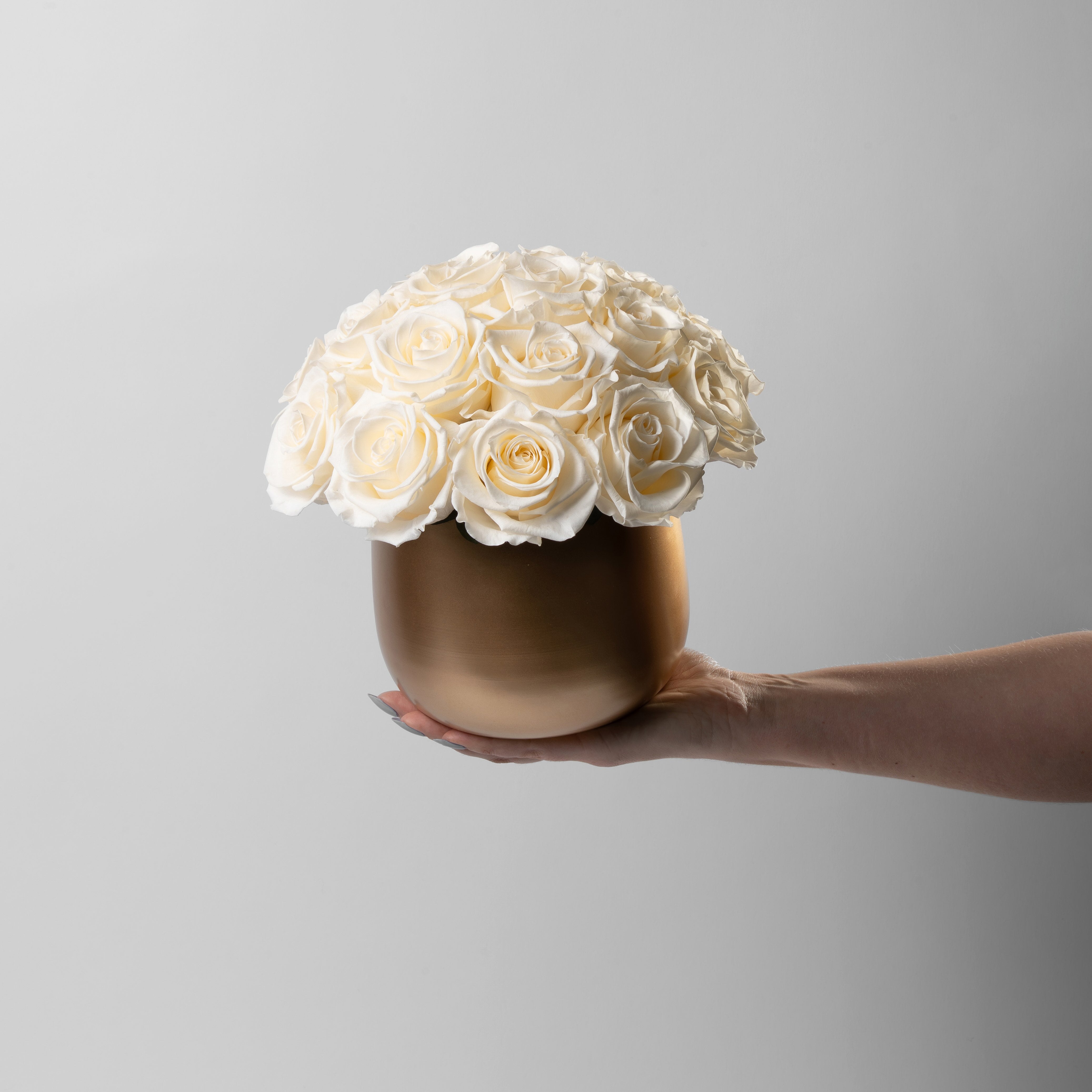 Gold vase with preserved white roses