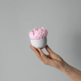 PIA - PRESERVED PINK PEONY IN WHITE CERAMIC VASE