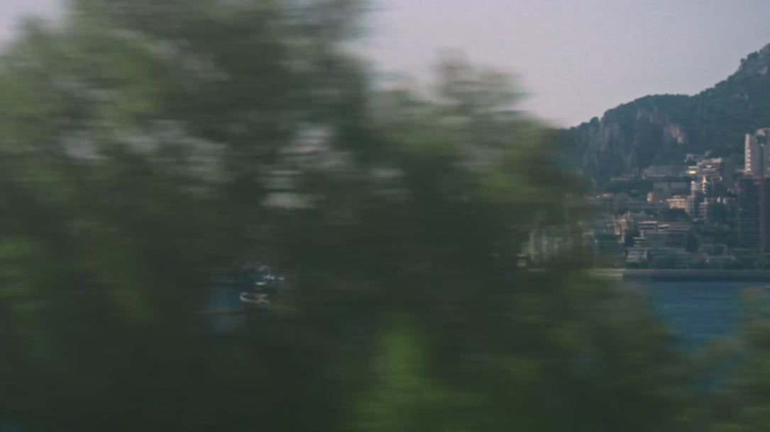 Ethereal Blooms Preserved Flowers