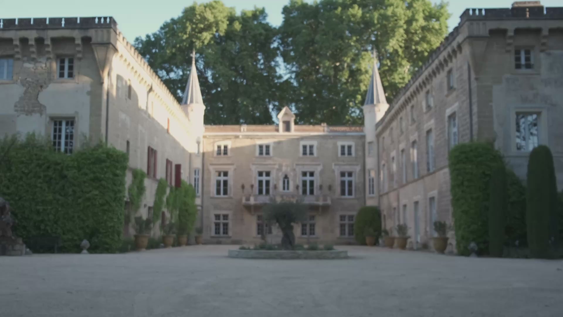 Preserved Flower Installation