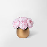 Preserved pink peonies bouquet