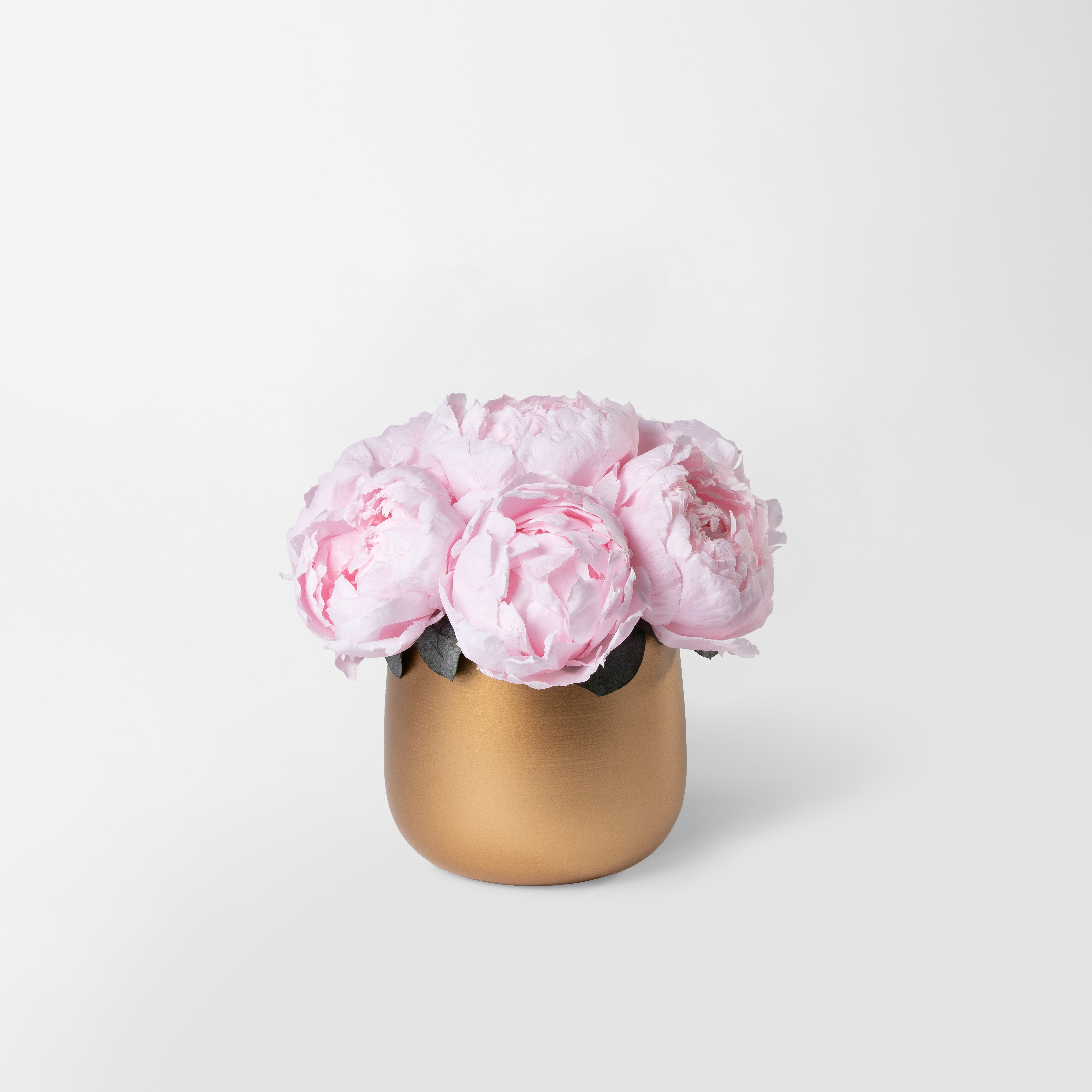 Preserved pink peonies bouquet