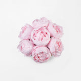 Preserved pink peony bouquet