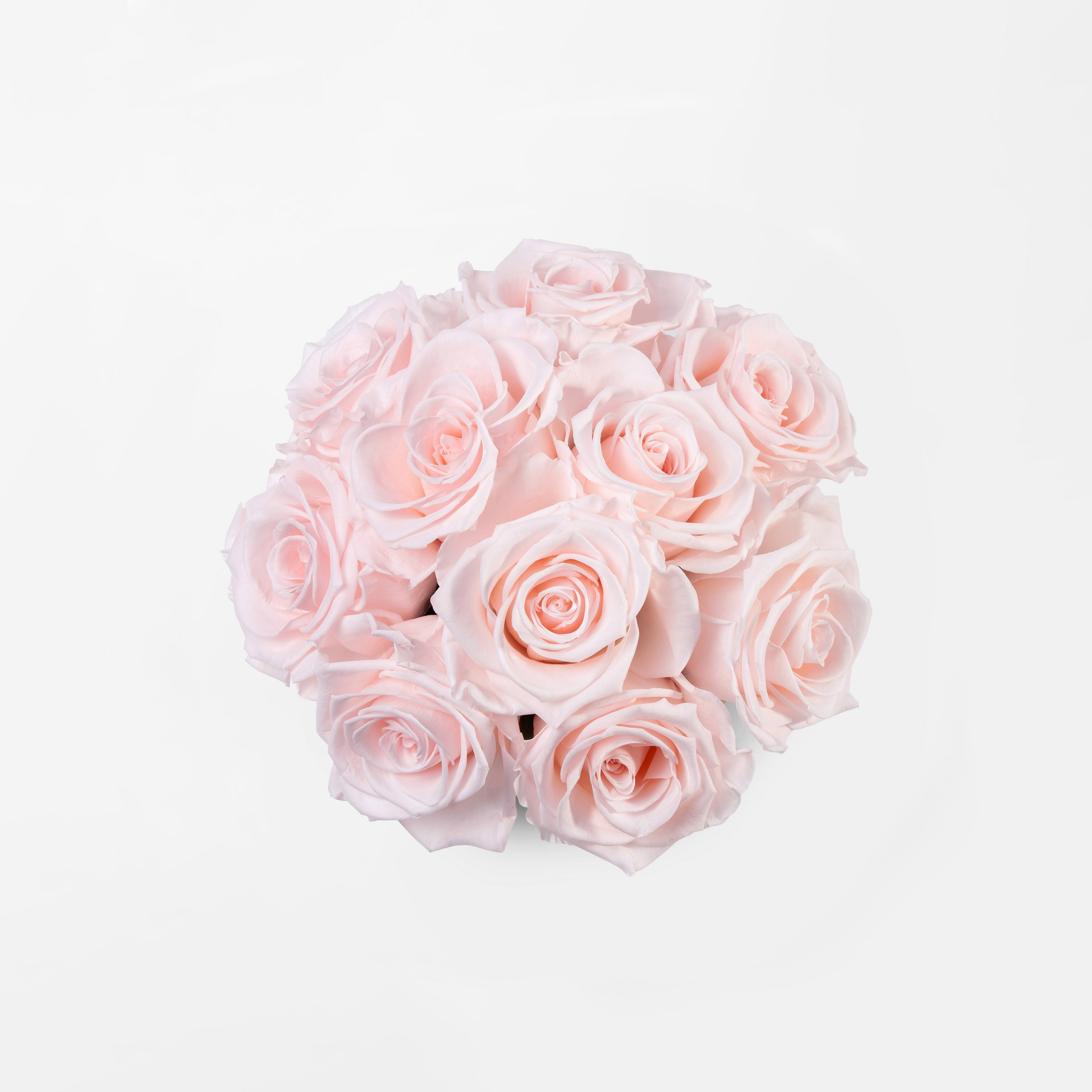 blush