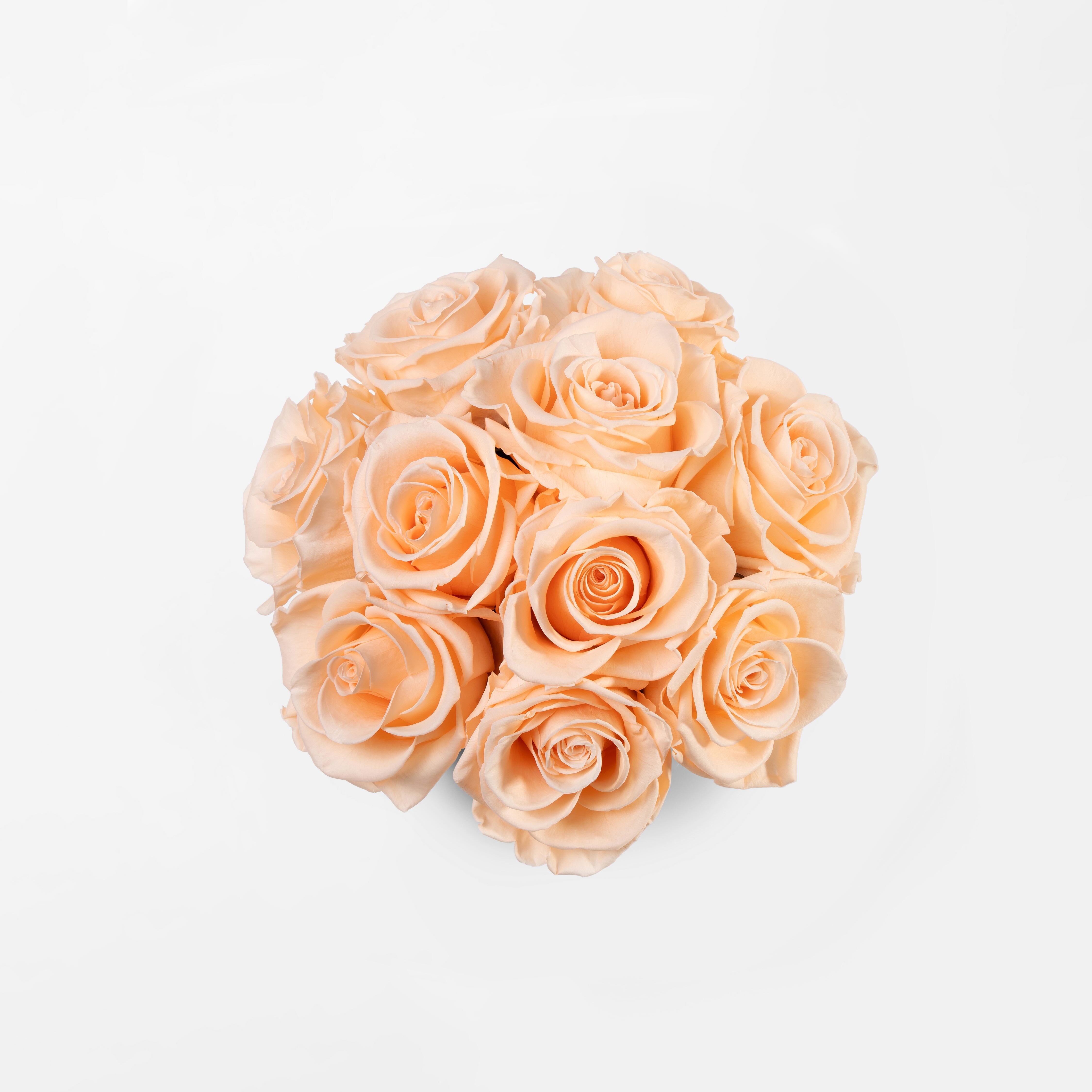 cantaloupe